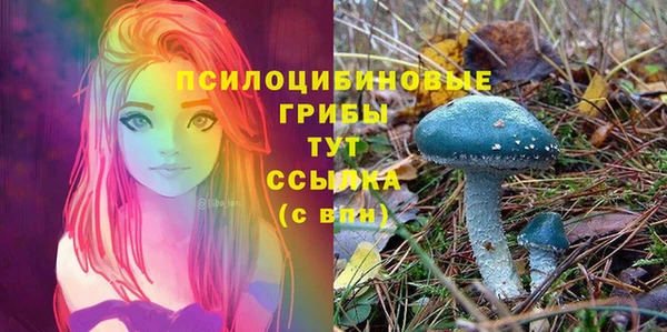 тгк Алексеевка