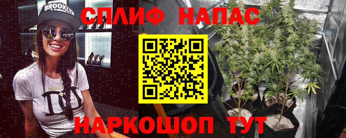 Шишки марихуана тримм  Вход с VPN  Конопля White Widow  Североуральск  Бошки марихуана план 